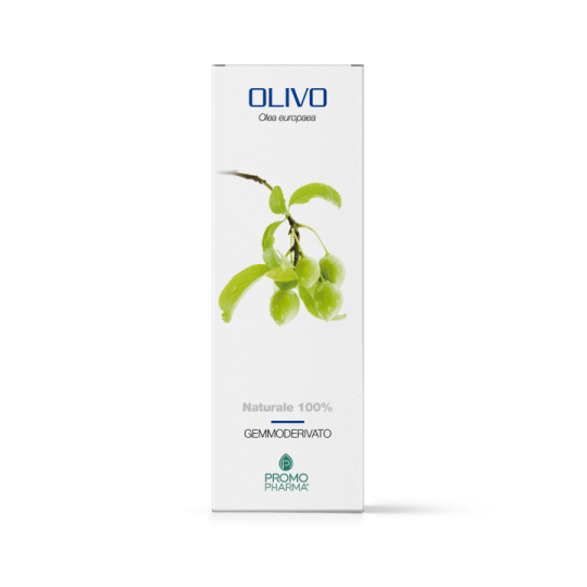 Promopharma Olivo Gemmoderivato 50ml-1