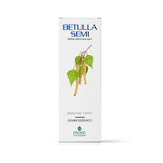 Promopharma Betulla Semi Gemmoderivato 50ml-1