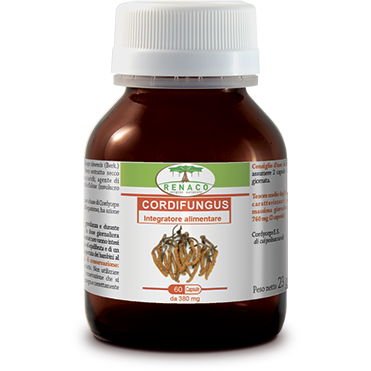 Cordifungus 60 Capsule-2