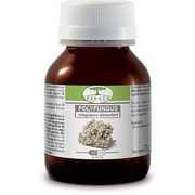 Polyfungus 60 Capsule-2