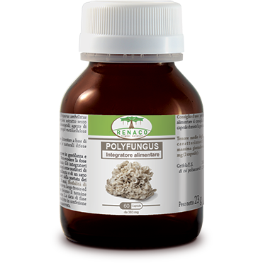 Polyfungus 60 Capsule-2