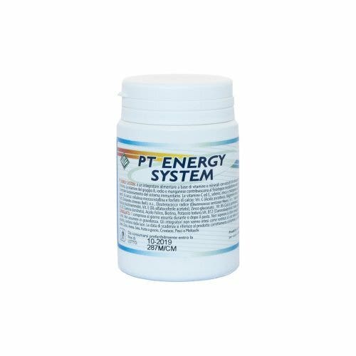 PT ENERGY SYSTEM 30CPR-1