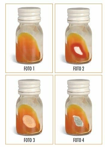 Teknofarma Dtm Dermatophite Test Medium Scatola Da 24 Pezzi-2