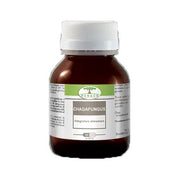 Renaco Chagafungus 60 Capsule-2