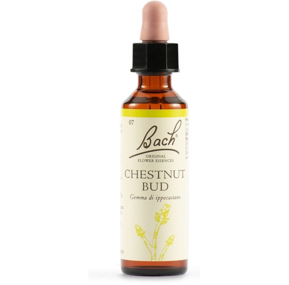 Chestnut Bud Bach Original Flower Essences 20ml-2