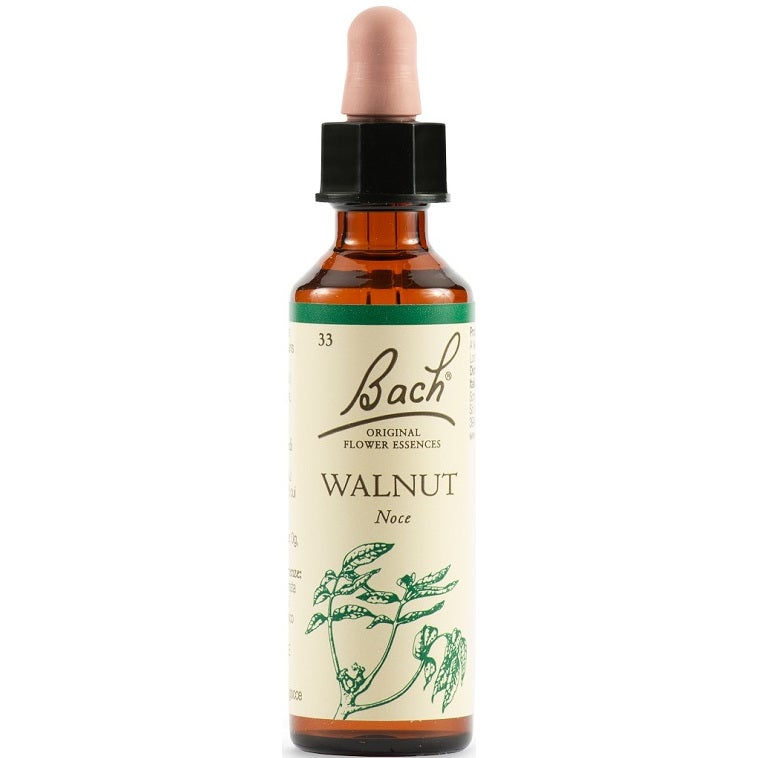Walnut Bach Original 20ml  - 2