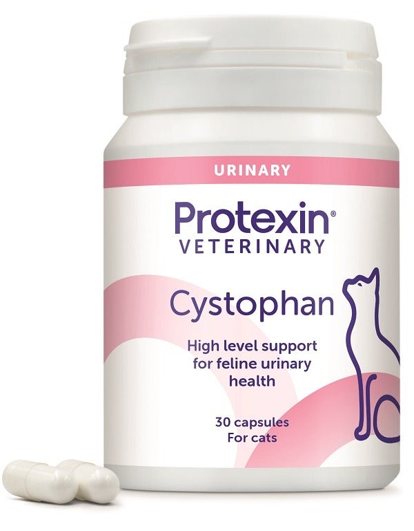 Protexin Veterinary Cystophan Integratore per Salute Urinaria Gatto 30 Capsule-1