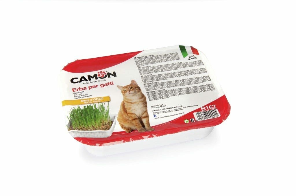 Camon Erba Per Gatti con Semi Di Orzo-4