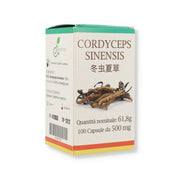 Cordyceps Sinensis 100 Capsule-1