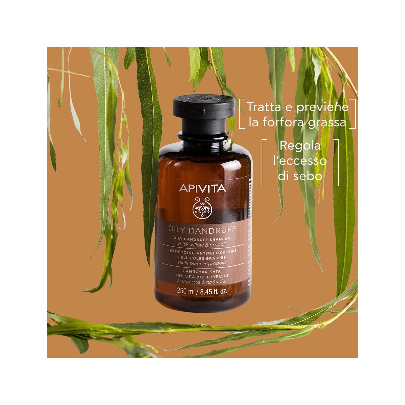 Apivita Shampoo Forfora Grassa Per Capelli 250ml-2