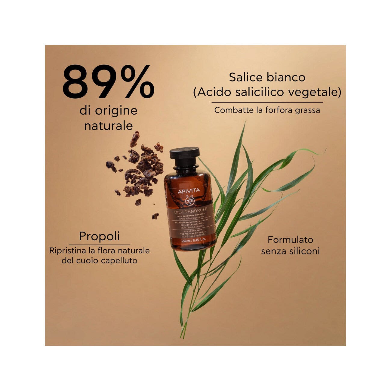 Apivita Shampoo Forfora Grassa Per Capelli 250ml-3