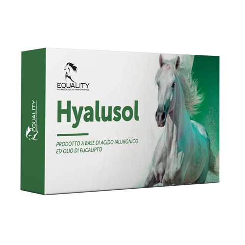 Hyalusol Aerosol Ambientale Per Equini 10 Flaconi Monodose Da 8ml