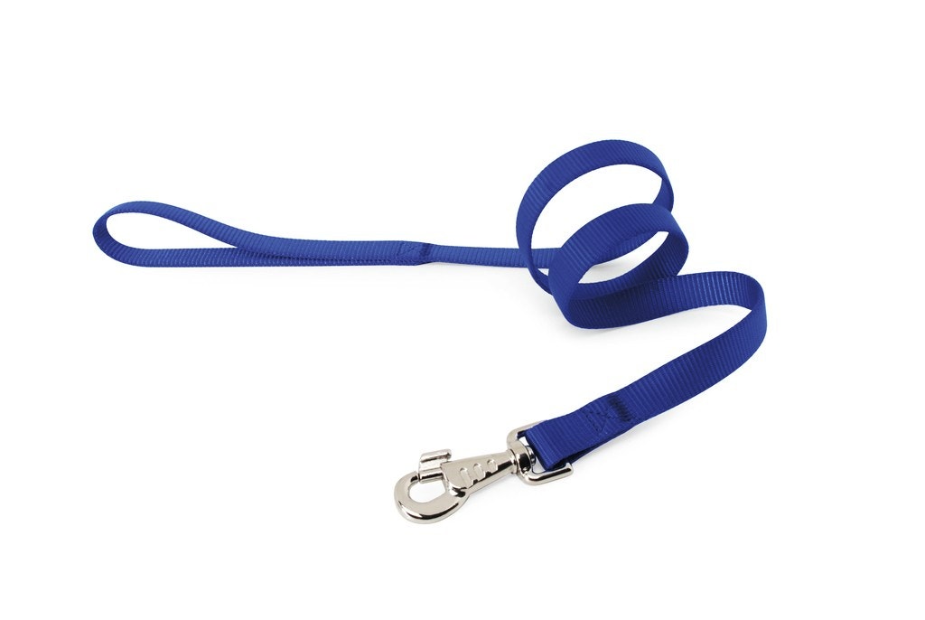 Camon Guinzaglio In Nylon Per Cani Colore Blu Scuro 18x1000mm-1