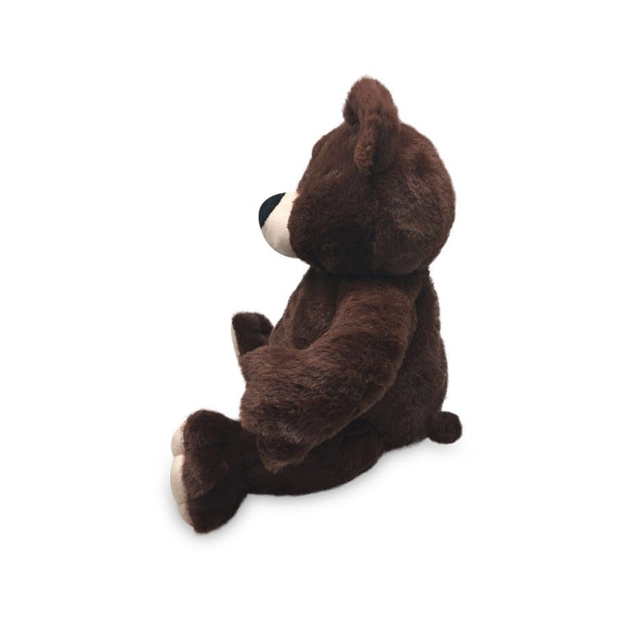Aroma Warm Orso Bruno Peluche-2