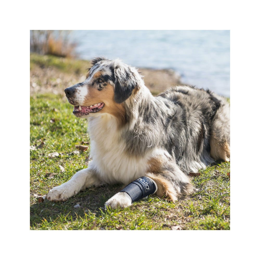Balto BT Joint Tutore del Carpo Taglia M-2