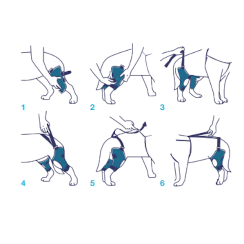 Balto BT Jump Plus Tutore Doppio per Ginocchio Taglia XL-4