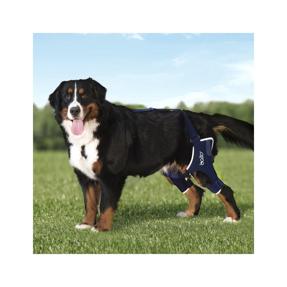 Balto BT Jump Plus Tutore Doppio per Ginocchio Taglia XL-2