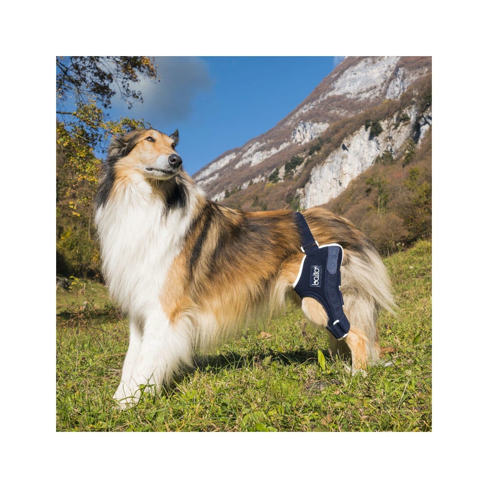 Balto BT Jump Tutore Ginocchio Sinistro Taglia XS-2