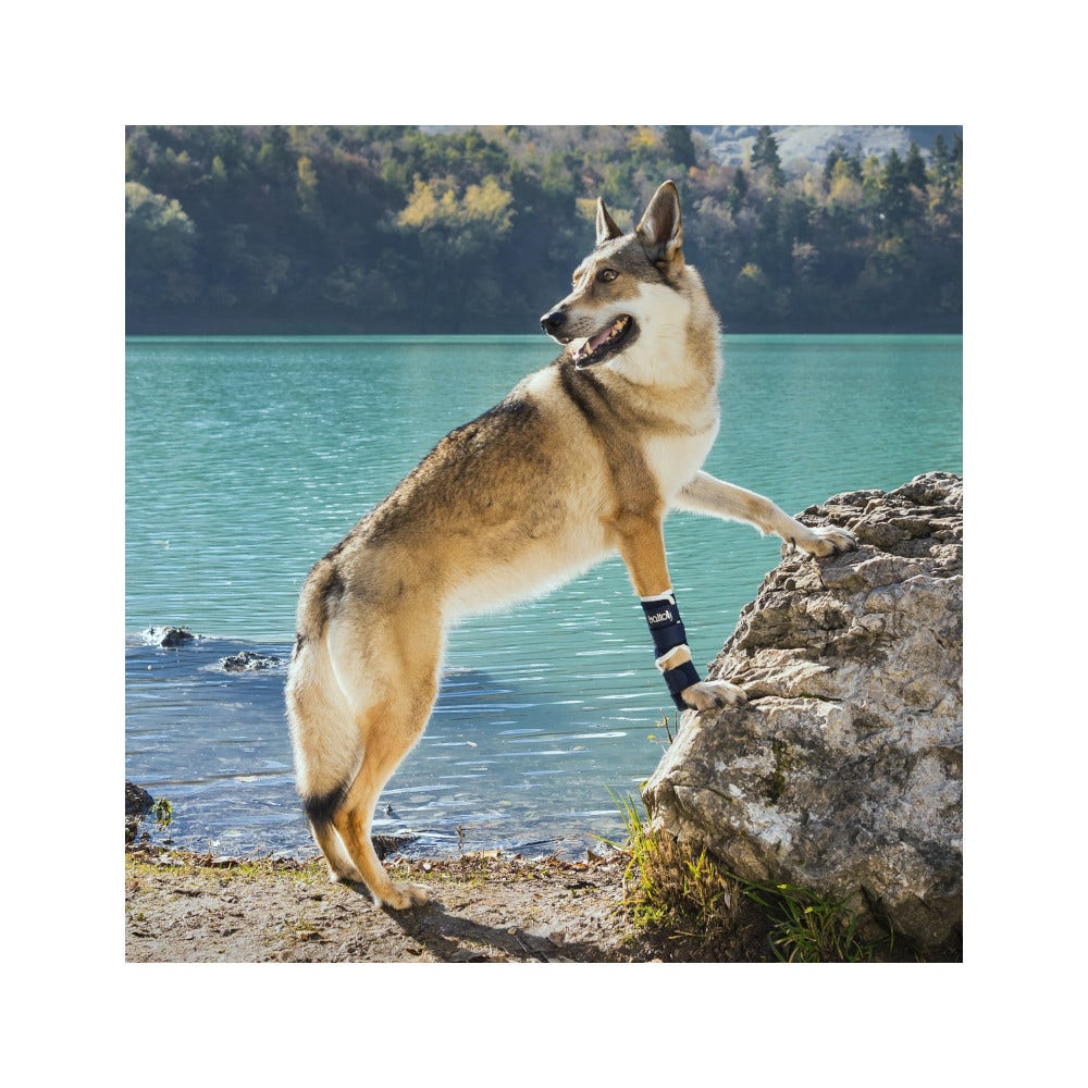 Balto BT Splint Tutore Per Lassità di Carpo o Tarso Taglia XS-2