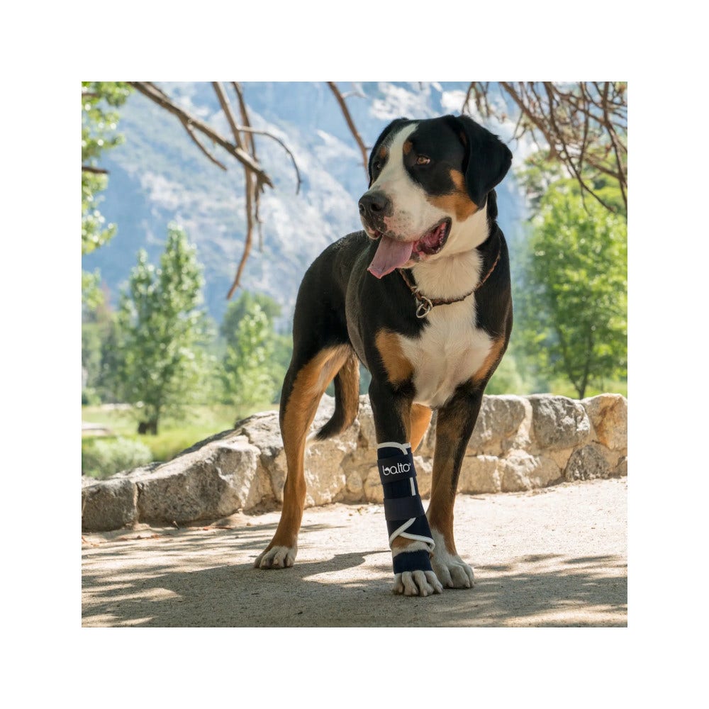 Balto BT Splint Tutore Per Lassità di Carpo o Tarso Taglia XS-3