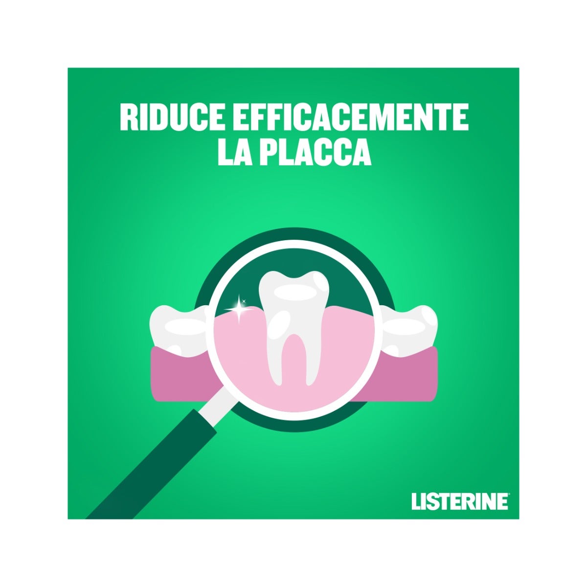 Listerine Difesa Denti E Gengive Collutorio Gusto Delicato 500ml-32