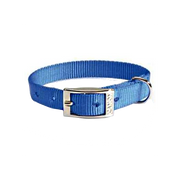 Camon Collare In Nylon Per Cani Colore Blu 12x380mm-3