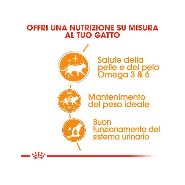 Royal Canin Hair & Skin in Salsa Alimento Umido Per Gatti Adulti Bustina 85g-6