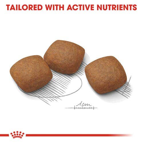 Royal Canin  Joint Care Crocchette Per Cani Taglia Grande Sacco 3kg-3