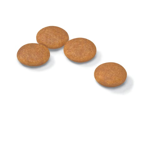Royal Canin Dermacomfort Crocchette Per Cani Taglia Mini Sacco 3kg-3
