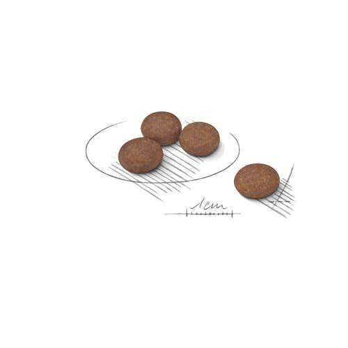 Royal Canin Digestive Care Crocchette Per Cani Mini Sacco 3kg-3