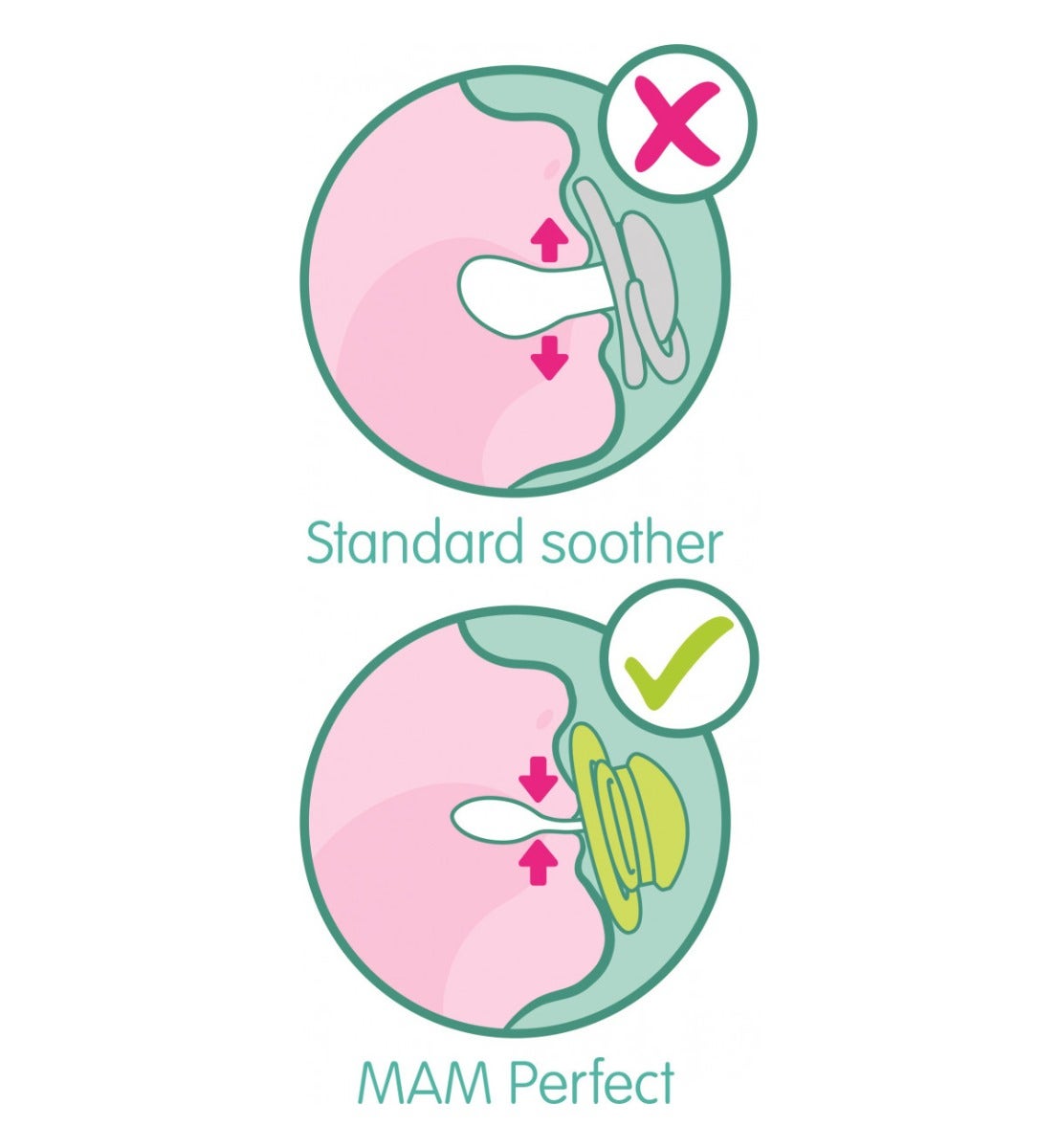 Mam Perfect Succhietto Per Bambini 2-6 Mesi 1 Pezzo Fantasia Assortita-3