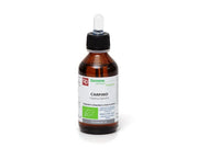Carpino Gemmoderivato Bio 100ml-1