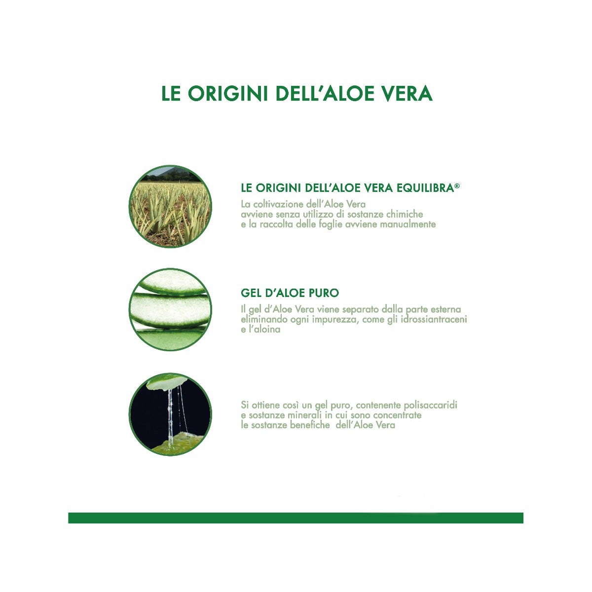 Equilibra Aloe Vera Drena 500ml-9