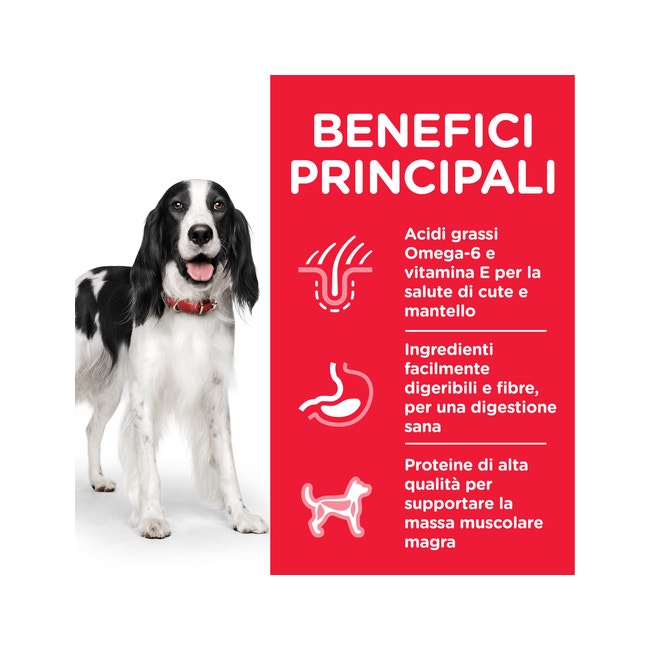 Hill's Science Plan Bocconcini Tacchino Per Cani Adulti Lattina 370g-3