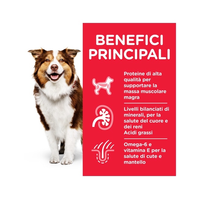 Hill's Science Plan Mature Bocconcini Pollo Per Cani Adulti Lattina 370g-3