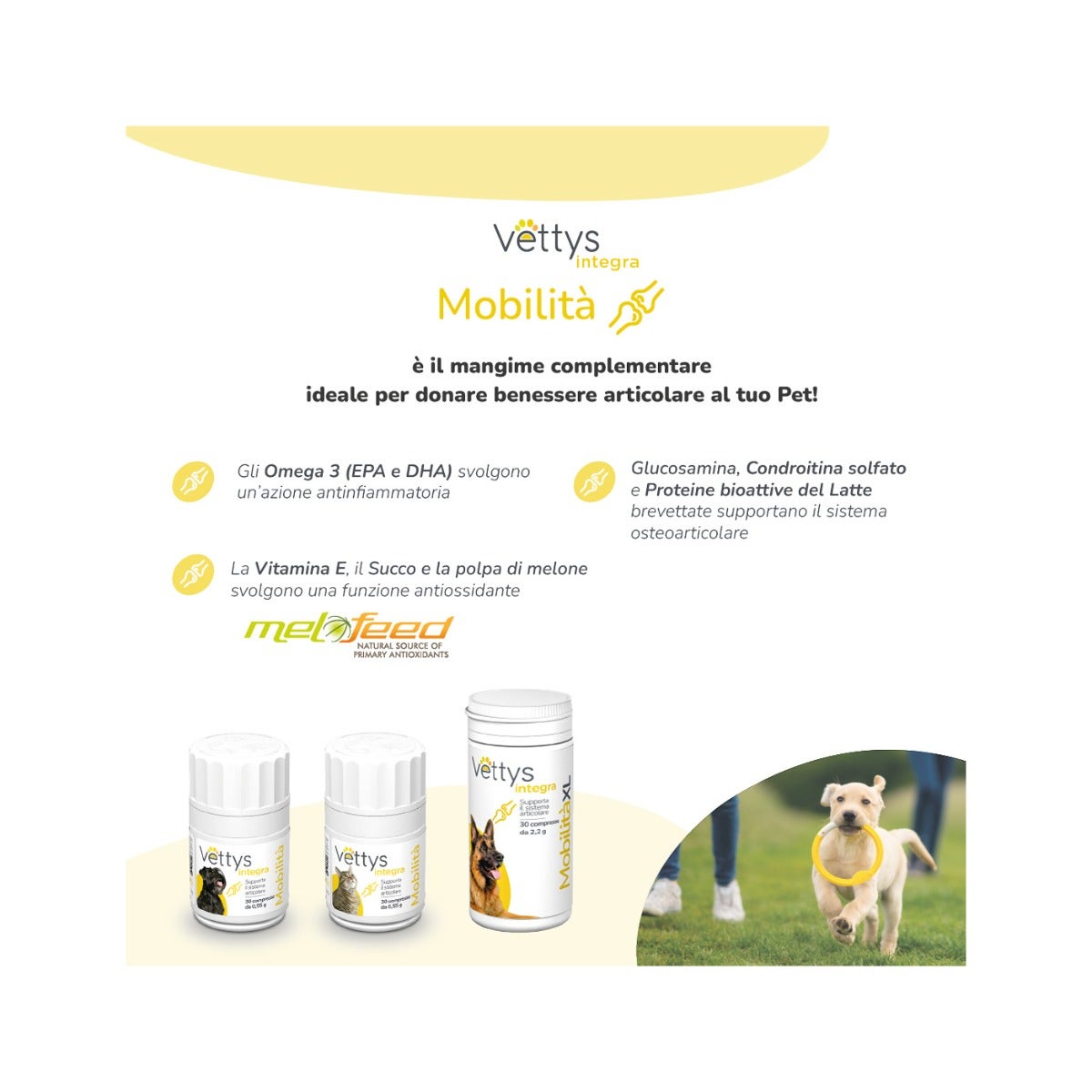 Vettys Integra Mobilità Per Gatti 30 Compresse-4