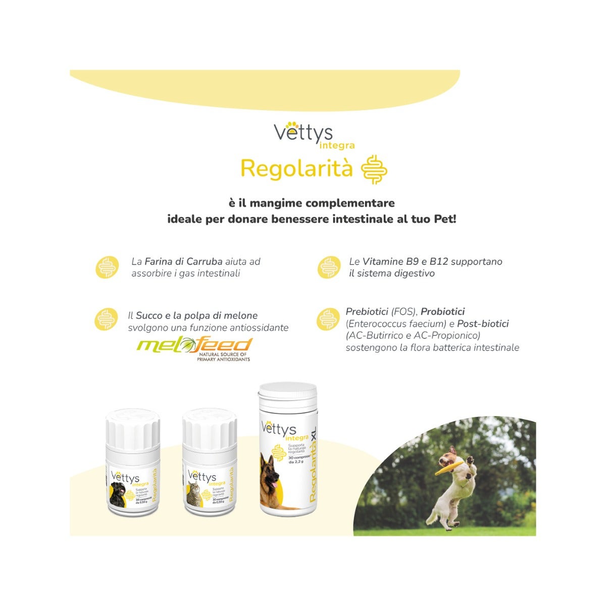 Vettys Integra Regolarità Per Cani 30 Compresse-4