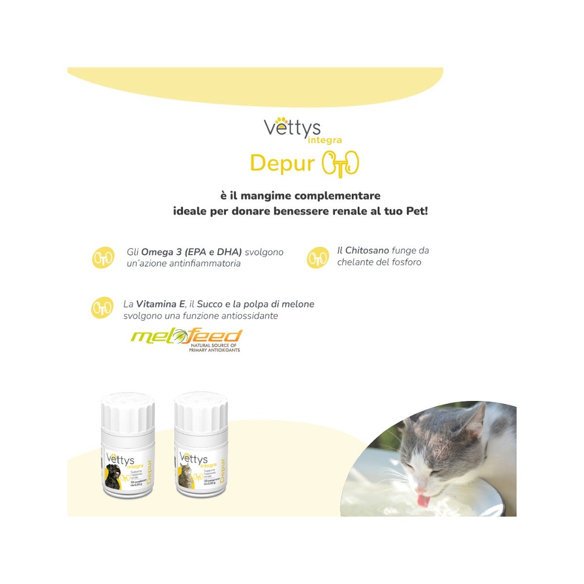 Vettys Integra Depur Per Cani 30 Compresse-2