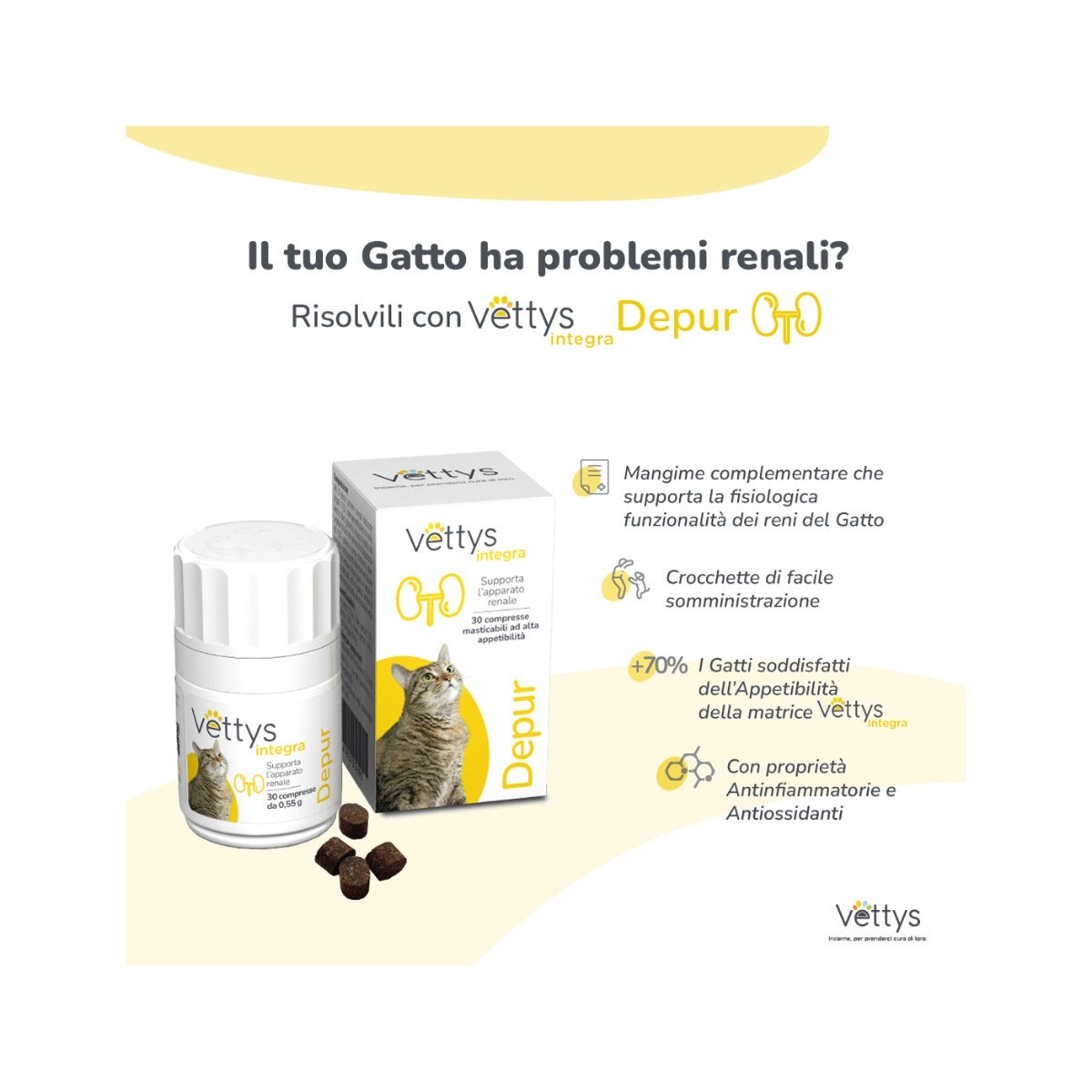 Vettys Integra Depur Per Gatti 30 Compresse-5
