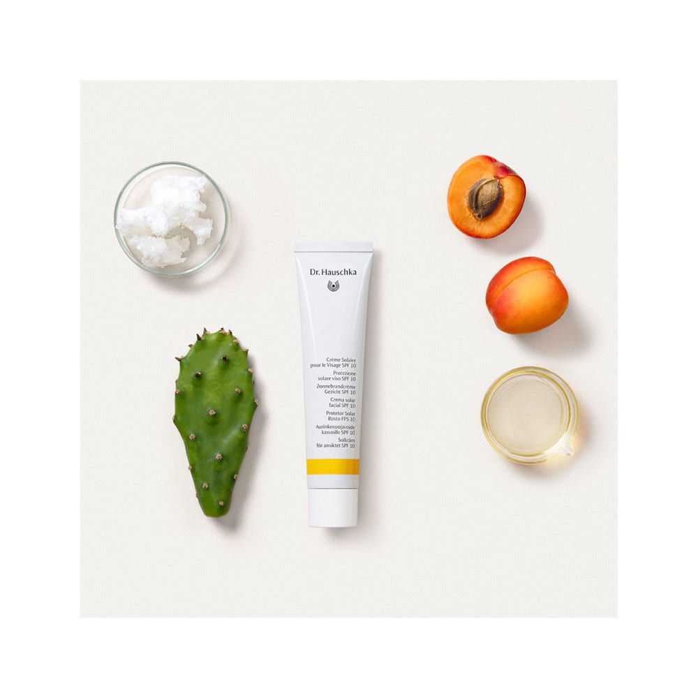 Dr. Hauschka Protezione Solare Colorata SPF 10 Viso 40ml-3