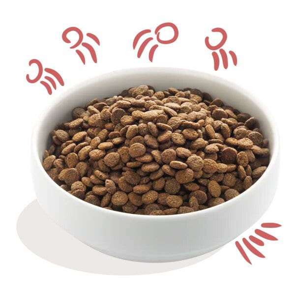 Edgard & Cooper Senior Pollo Allevato A Terra E Salmone Norvegese Senza Cereali Crocchette per Cani 2,5kg-2