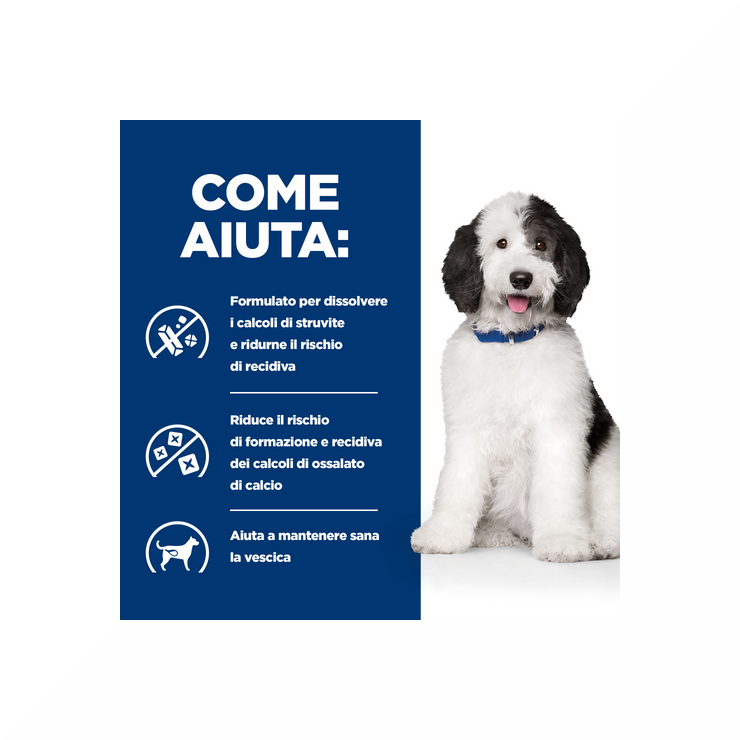 Hill's Prescription Diet C/D Multicare Urinary Care Crocchette Di Pollo Per Cani Sacco 4 Kg-3