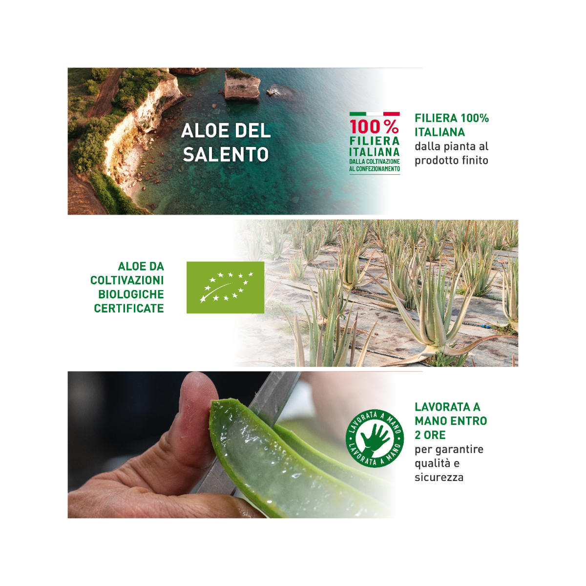 Equilibra Aloe Bio 750ml-8