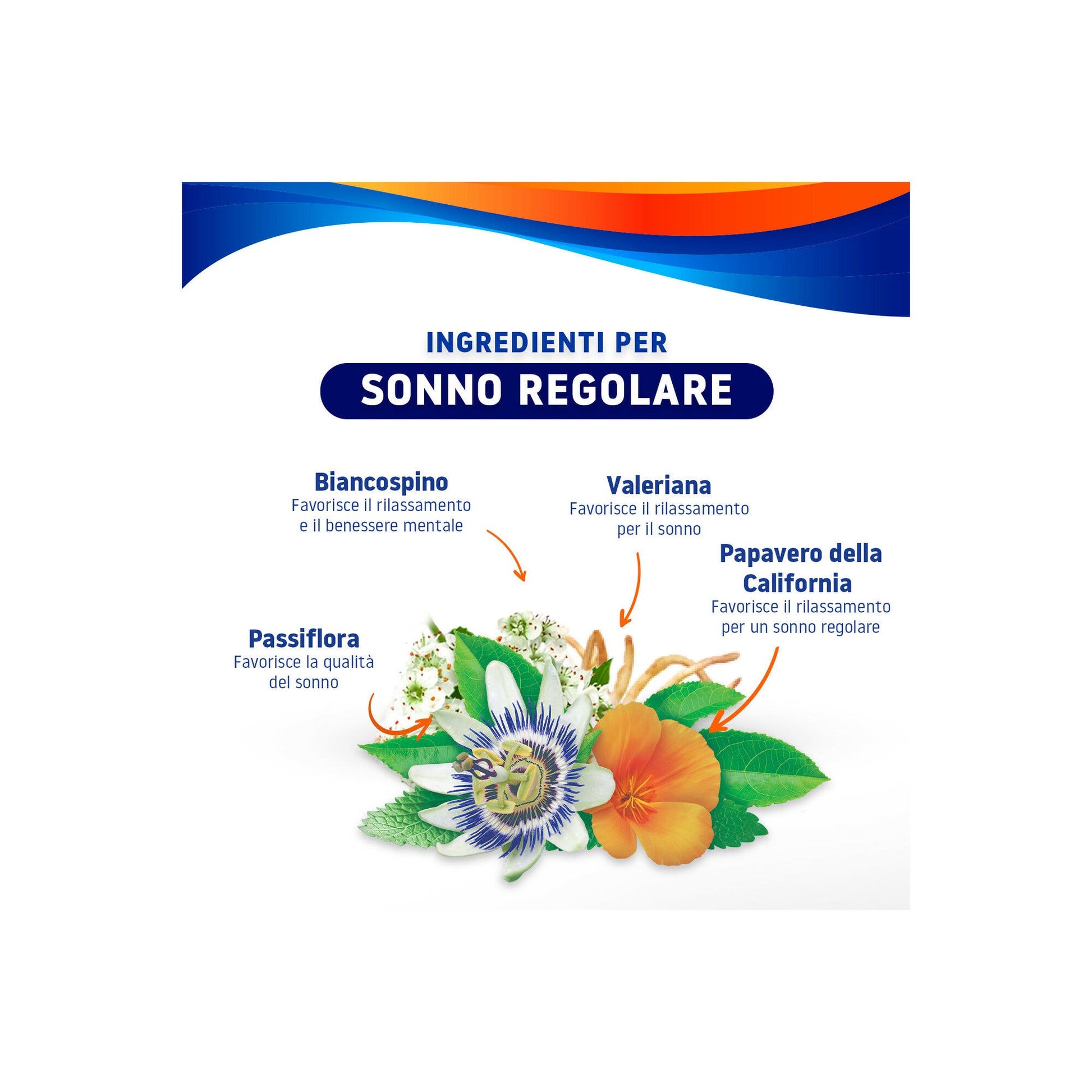 Valdispert Notte Intera 30 Compresse a Lento Rilascio-4