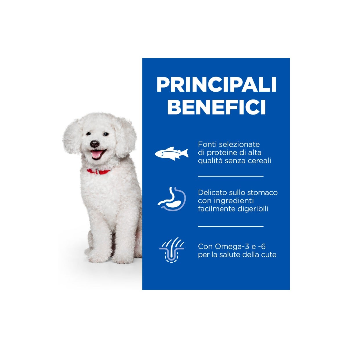 Hill's Science Plan Hypoallergenic Al Salmone Cibo Secco Cani Adulti Taglia Small Sacco 6kg-4