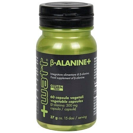 +Watt B-Alanine+ 60 Capsule-1