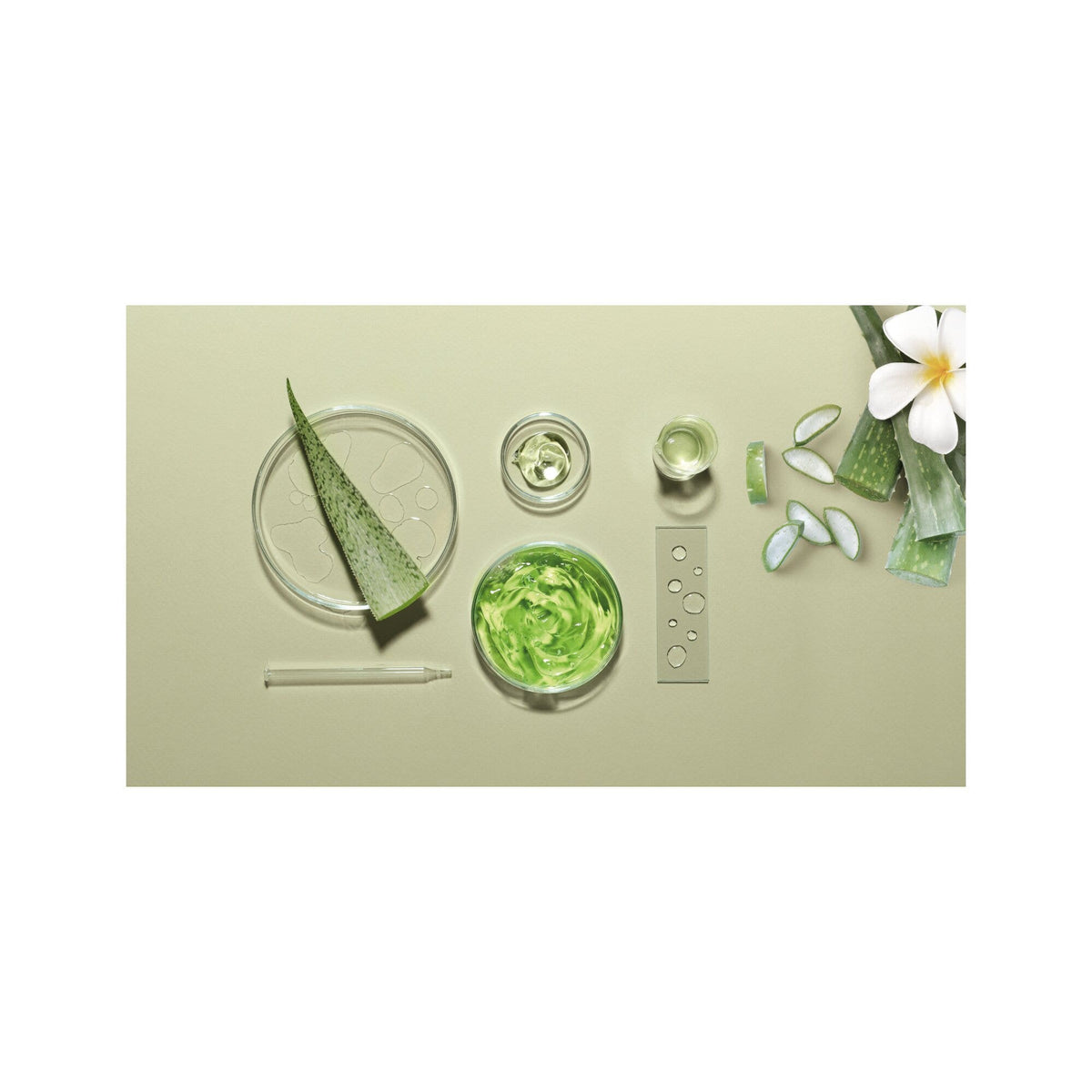 Herbatint Repair Shampoo Riparatore 260ml-3