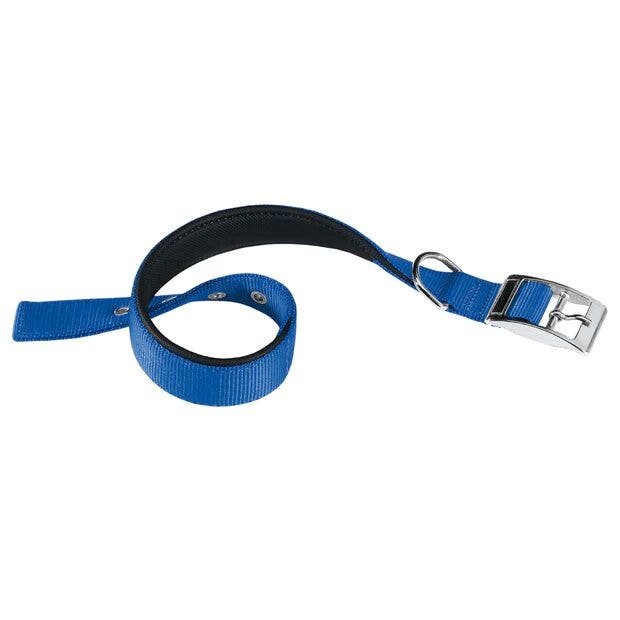 Ferplast Daytona C Collare In Nylon Con Soffice Imbottitura Blu Per Cani C15/35-1