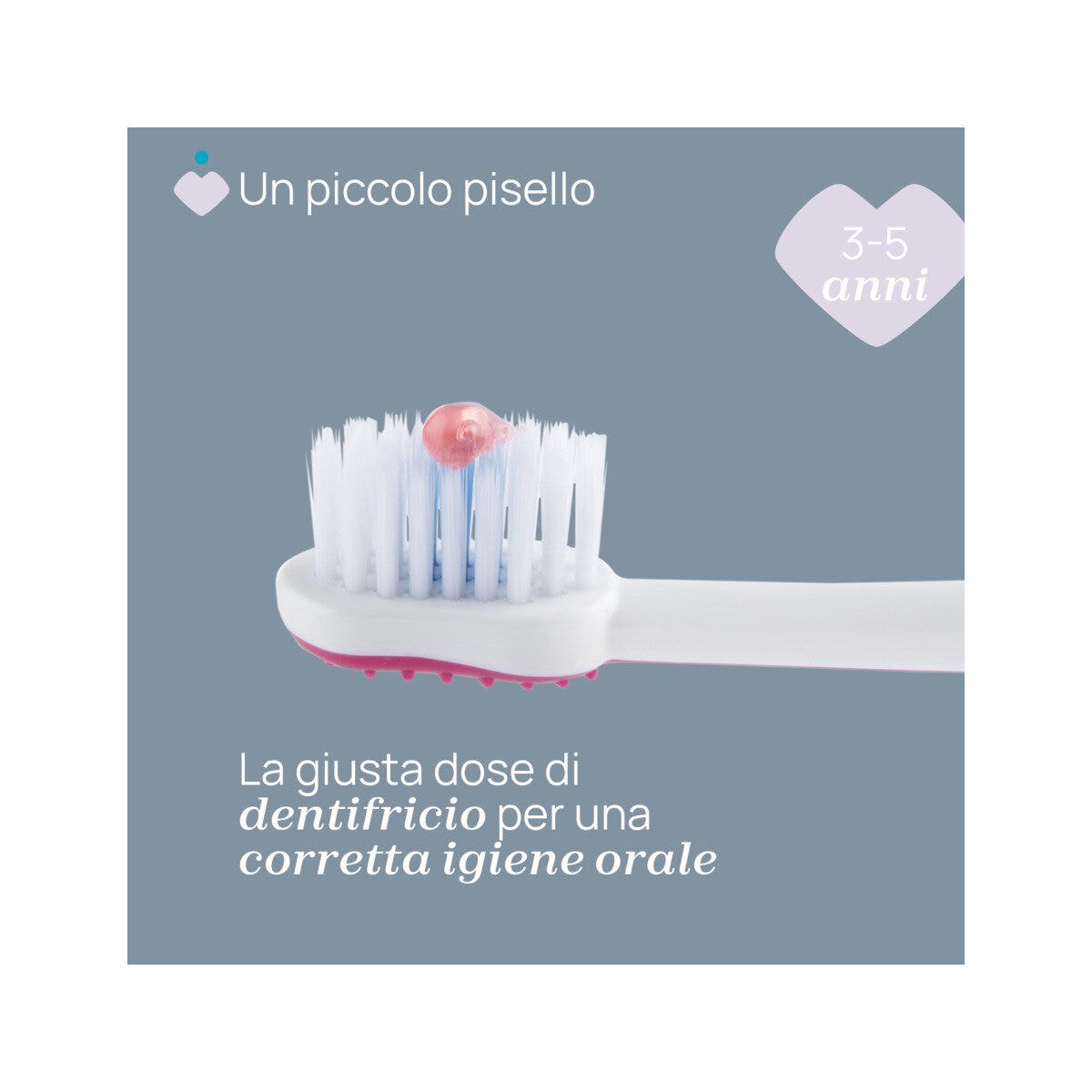 Chicco Spazzolino 3-6 Anni Hippo 1 Pezzo-2
