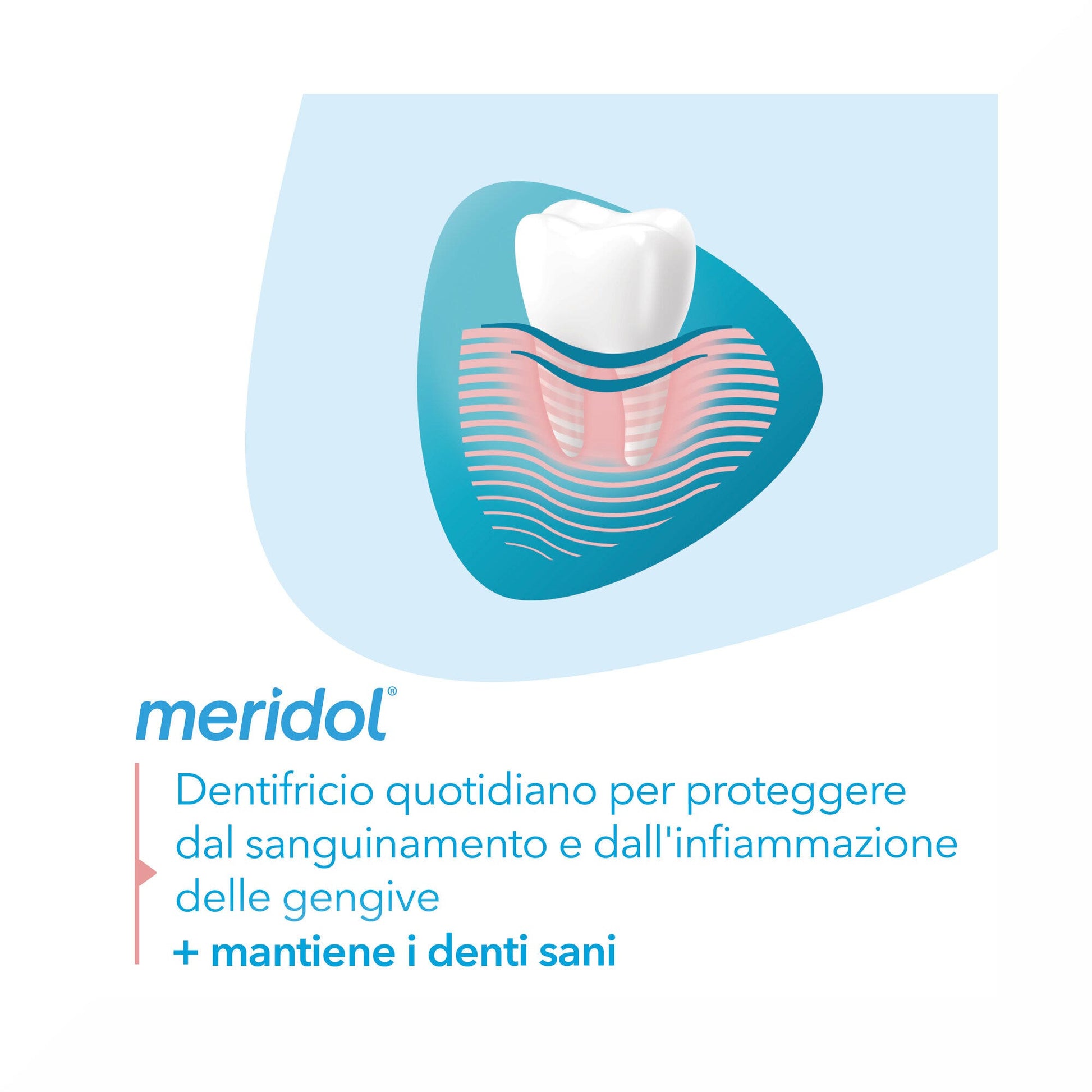 Meridol Dentifricio Protezione Gengive con Effetto Antibatterico 75ml-4